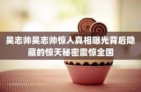 吴志帅吴志帅惊人真相曝光背后隐藏的惊天秘密震惊全国