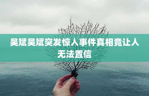 吴斌吴斌突发惊人事件真相竟让人无法置信