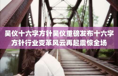 吴仪十六字方针吴仪重磅发布十六字方针行业变革风云再起震惊全场