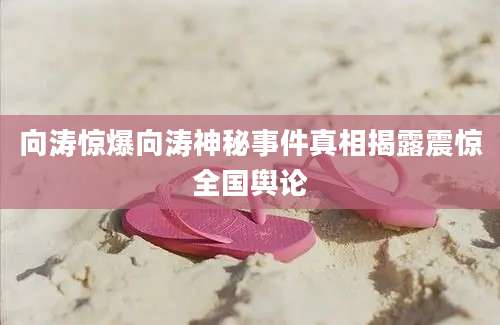 向涛惊爆向涛神秘事件真相揭露震惊全国舆论