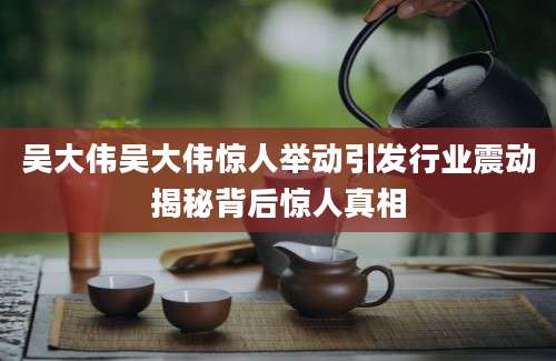 吴大伟吴大伟惊人举动引发行业震动揭秘背后惊人真相