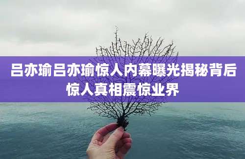 吕亦瑜吕亦瑜惊人内幕曝光揭秘背后惊人真相震惊业界