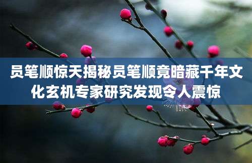 员笔顺惊天揭秘员笔顺竟暗藏千年文化玄机专家研究发现令人震惊