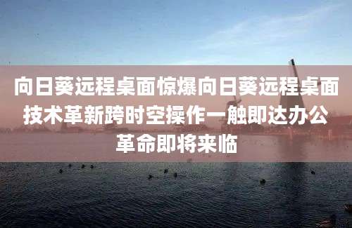 向日葵远程桌面惊爆向日葵远程桌面技术革新跨时空操作一触即达办公革命即将来临