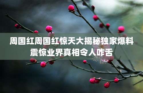 周国红周国红惊天大揭秘独家爆料震惊业界真相令人咋舌