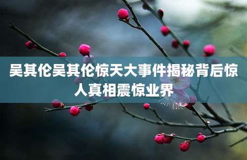 吴其伦吴其伦惊天大事件揭秘背后惊人真相震惊业界