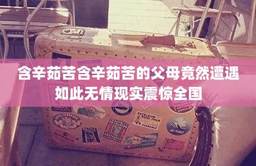 含辛茹苦含辛茹苦的父母竟然遭遇如此无情现实震惊全国