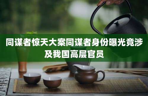 同谋者惊天大案同谋者身份曝光竟涉及我国高层官员
