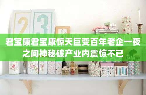 君宝康君宝康惊天巨变百年老企一夜之间神秘破产业内震惊不已