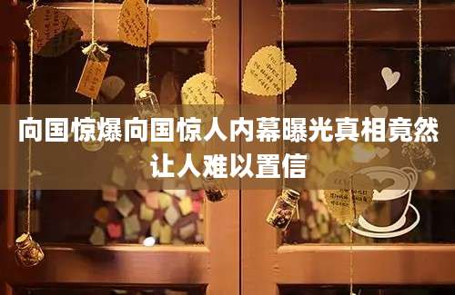 向国惊爆向国惊人内幕曝光真相竟然让人难以置信