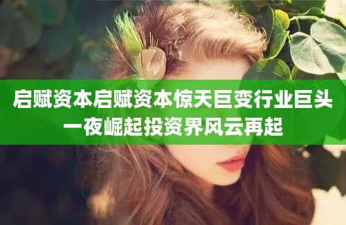 启赋资本启赋资本惊天巨变行业巨头一夜崛起投资界风云再起