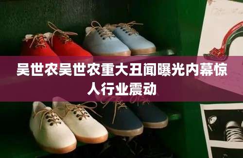 吴世农吴世农重大丑闻曝光内幕惊人行业震动