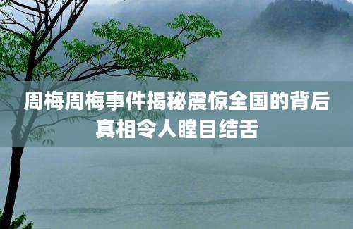 周梅周梅事件揭秘震惊全国的背后真相令人瞠目结舌