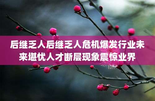 后继乏人后继乏人危机爆发行业未来堪忧人才断层现象震惊业界
