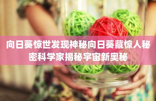 向日葵惊世发现神秘向日葵藏惊人秘密科学家揭秘宇宙新奥秘