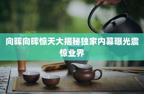 向晖向晖惊天大揭秘独家内幕曝光震惊业界