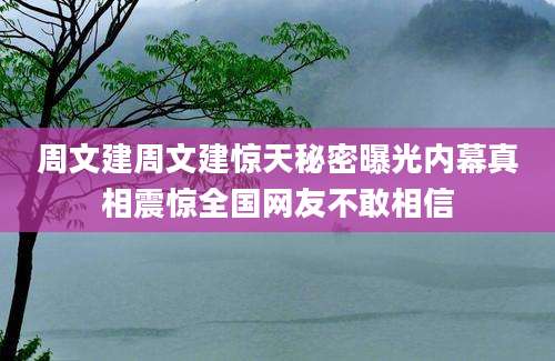 周文建周文建惊天秘密曝光内幕真相震惊全国网友不敢相信