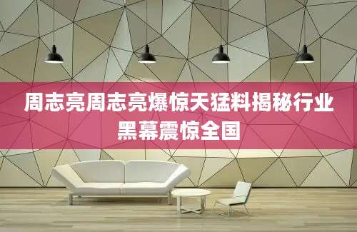 周志亮周志亮爆惊天猛料揭秘行业黑幕震惊全国