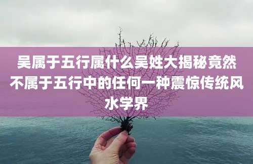 吴属于五行属什么吴姓大揭秘竟然不属于五行中的任何一种震惊传统风水学界