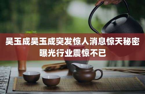 吴玉成吴玉成突发惊人消息惊天秘密曝光行业震惊不已