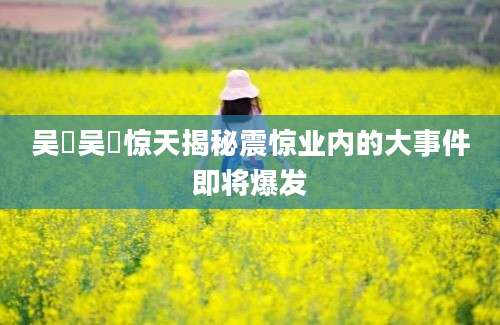 吴龑吴龑惊天揭秘震惊业内的大事件即将爆发