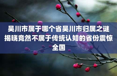 吴川市属于哪个省吴川市归属之谜揭晓竟然不属于传统认知的省份震惊全国