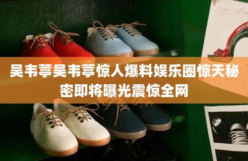 吴韦葶吴韦葶惊人爆料娱乐圈惊天秘密即将曝光震惊全网