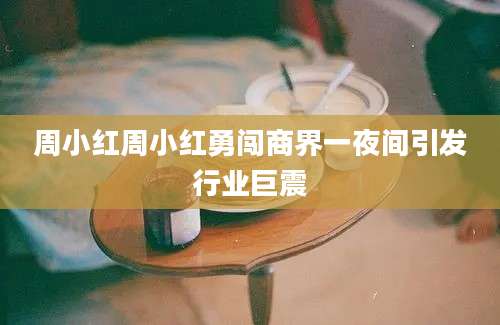 周小红周小红勇闯商界一夜间引发行业巨震