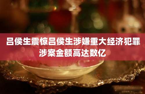 吕侯生震惊吕侯生涉嫌重大经济犯罪涉案金额高达数亿