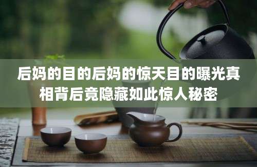 后妈的目的后妈的惊天目的曝光真相背后竟隐藏如此惊人秘密