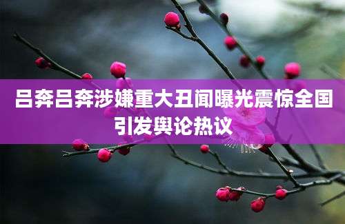 吕奔吕奔涉嫌重大丑闻曝光震惊全国引发舆论热议