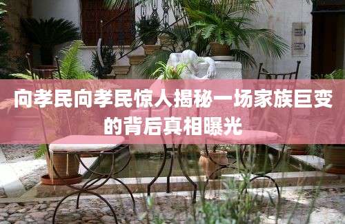 向孝民向孝民惊人揭秘一场家族巨变的背后真相曝光