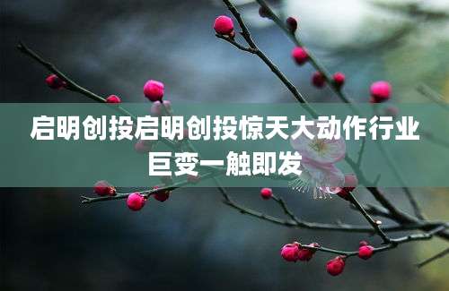 启明创投启明创投惊天大动作行业巨变一触即发