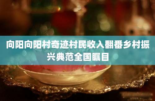 向阳向阳村奇迹村民收入翻番乡村振兴典范全国瞩目