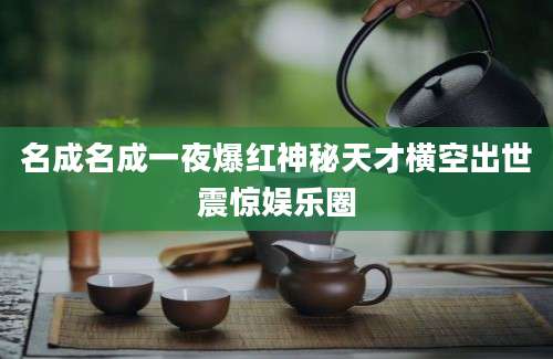 名成名成一夜爆红神秘天才横空出世震惊娱乐圈