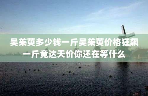 吴茱萸多少钱一斤吴茱萸价格狂飙一斤竟达天价你还在等什么