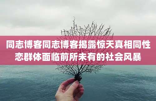 同志博客同志博客揭露惊天真相同性恋群体面临前所未有的社会风暴