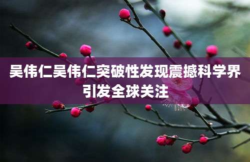 吴伟仁吴伟仁突破性发现震撼科学界引发全球关注