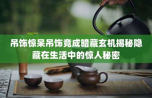 吊饰惊呆吊饰竟成暗藏玄机揭秘隐藏在生活中的惊人秘密