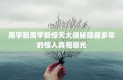 周宇新周宇新惊天大揭秘隐藏多年的惊人真相曝光