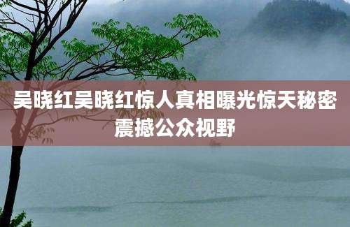 吴晓红吴晓红惊人真相曝光惊天秘密震撼公众视野