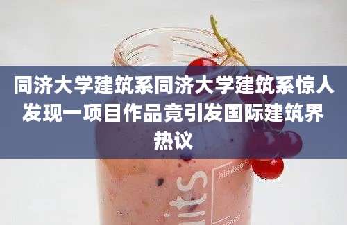 同济大学建筑系同济大学建筑系惊人发现一项目作品竟引发国际建筑界热议