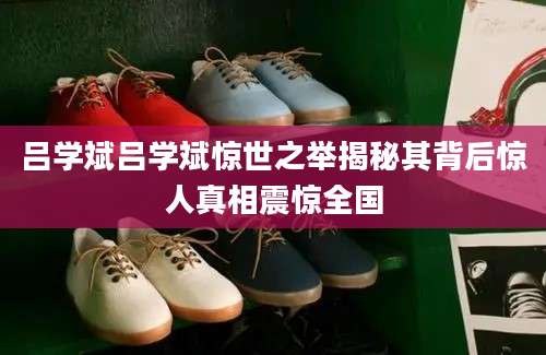 吕学斌吕学斌惊世之举揭秘其背后惊人真相震惊全国