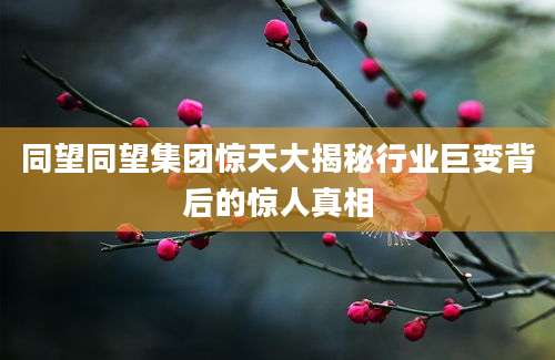 同望同望集团惊天大揭秘行业巨变背后的惊人真相