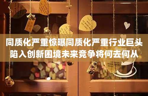 同质化严重惊曝同质化严重行业巨头陷入创新困境未来竞争将何去何从
