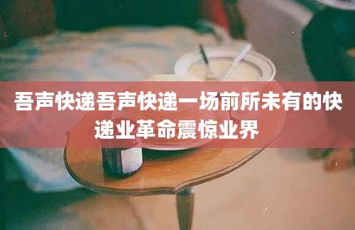 吾声快递吾声快递一场前所未有的快递业革命震惊业界