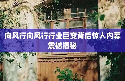 向风行向风行行业巨变背后惊人内幕震撼揭秘