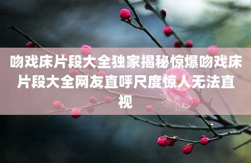 吻戏床片段大全独家揭秘惊爆吻戏床片段大全网友直呼尺度惊人无法直视