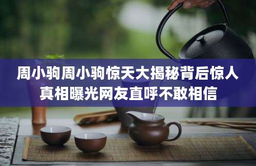 周小驹周小驹惊天大揭秘背后惊人真相曝光网友直呼不敢相信