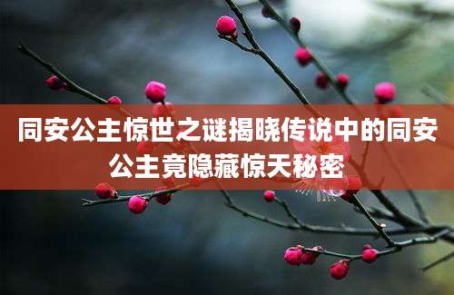 同安公主惊世之谜揭晓传说中的同安公主竟隐藏惊天秘密
